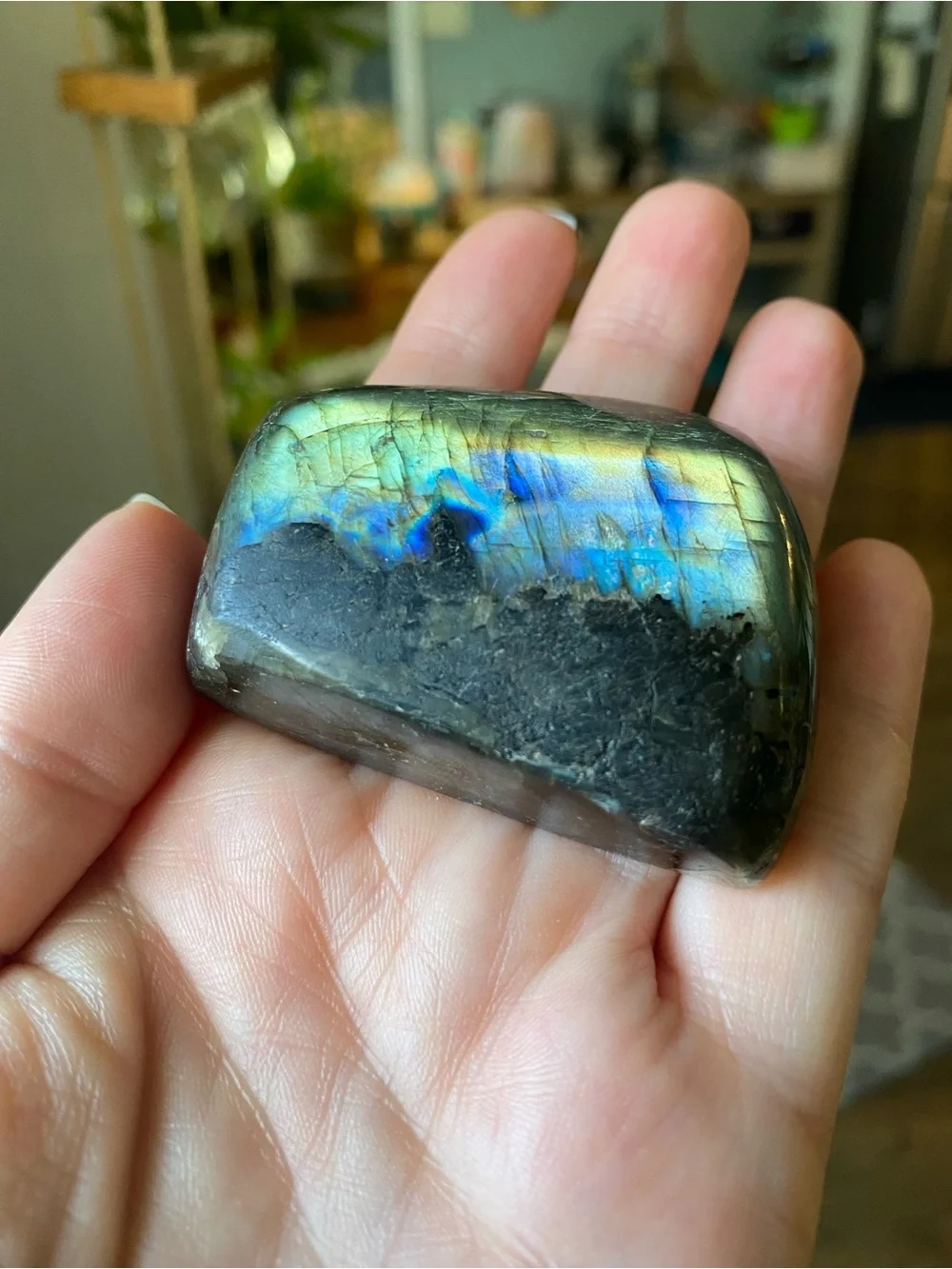 ✨ Double-Sided Blue & Gold Flash Labradorite Freeform ✨